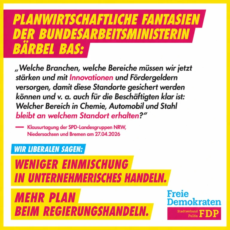 Instagram post from fdp_stadtverband_fulda. This post is in position 2.